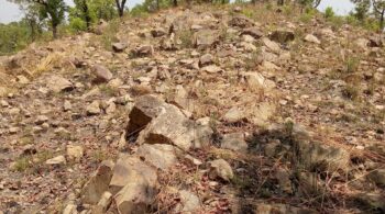 IMG_20210308_114827_134